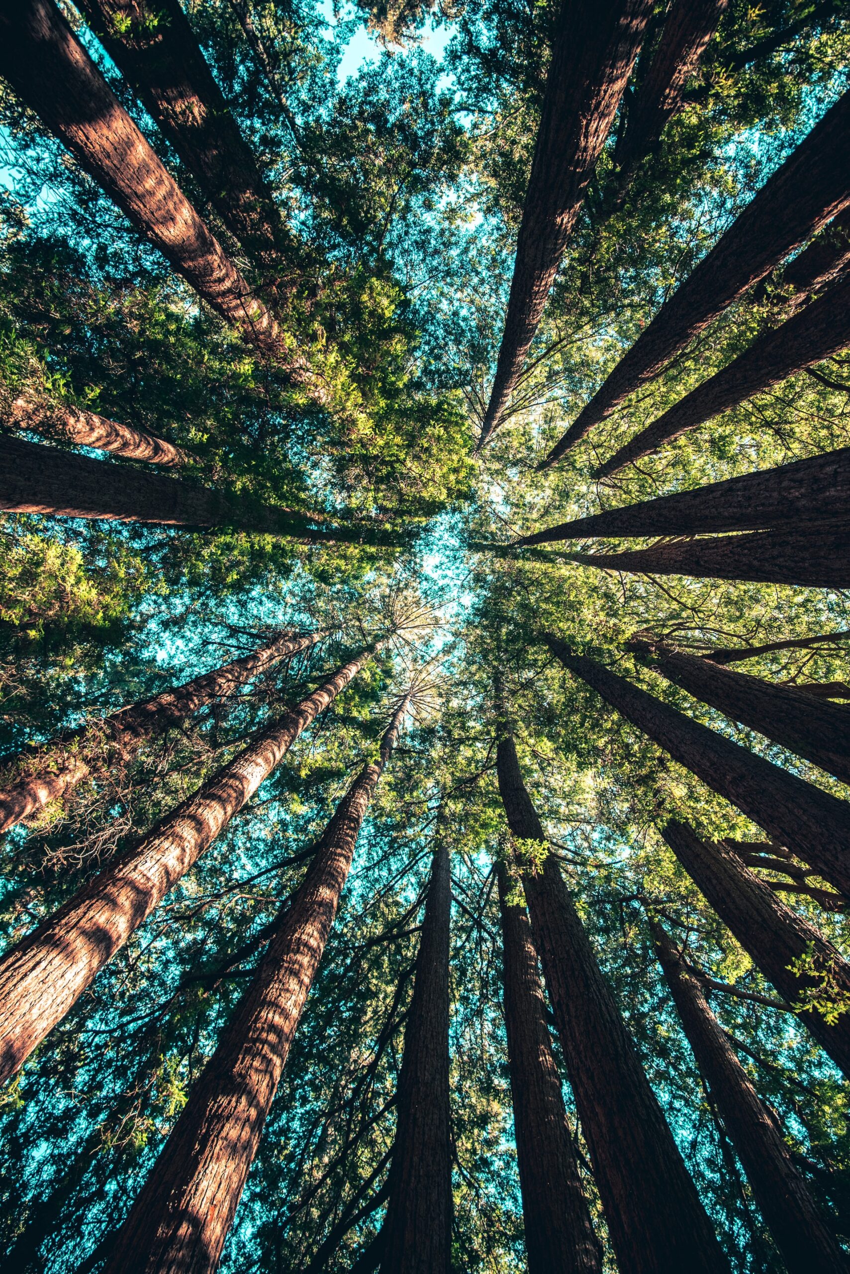 Making sustainability more mainstream